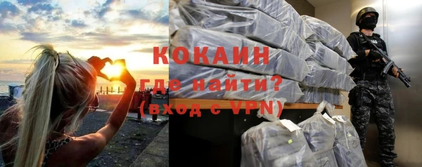 хмурый Алзамай
